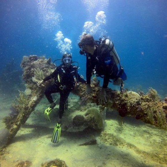 Meet your Posher, Durga - Picture 1 of 1